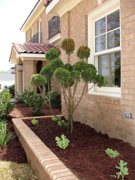 Bed with Topiary