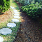 459DBA58-15CD-4BFB-8161-0F9D6881342F